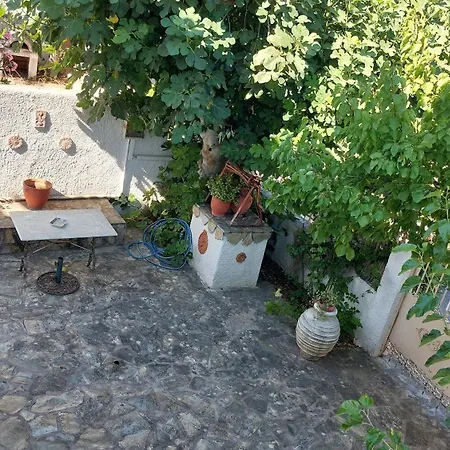 Uniquelivadi