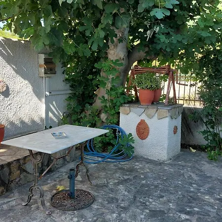 Uniquelivadi Villa Politika